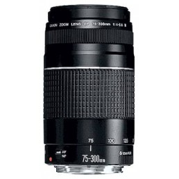 Canon EF 75-300 f/4-5.6 III