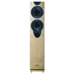 Wharfedale Evo-2 40