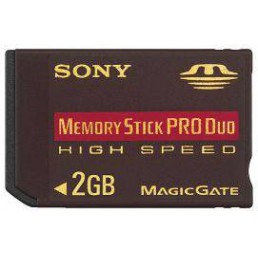 Sony MSX-M2GN