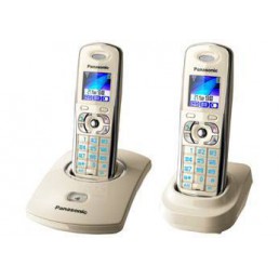 Panasonic KX-TG8302RUJ